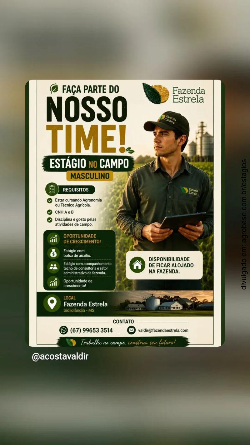 Estágio no campo – Sidrolândia/MS