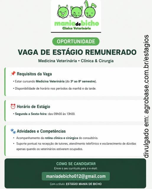 Estágio em clínica e cirurgia – São Paulo/SP