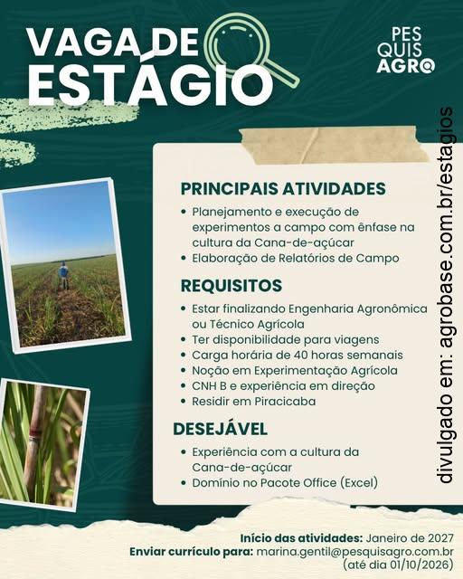 Estágio em experimentação com cana-de-açúcar – Piracicaba/SP