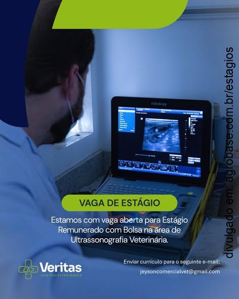 Estágio em ultrassonografia veterinária – Recife/PE