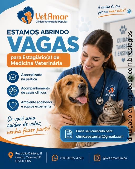 Estágio em medicina veterinária – Caieiras/SP