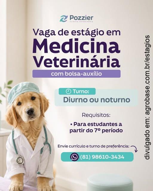 Estágio em medicina veterinária – Jaboatão dos Guararapes/PE