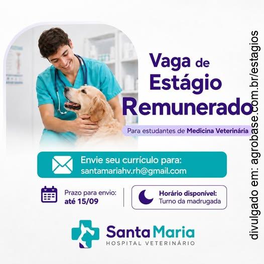 Estágio em medicina veterinária – União da Vitória/PR