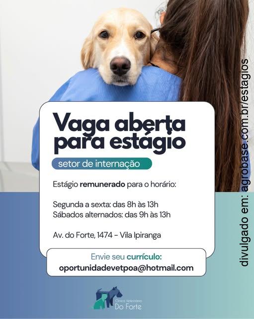 Estágio em clínica veterinária [internação e consultas] – Porto alegre/RS