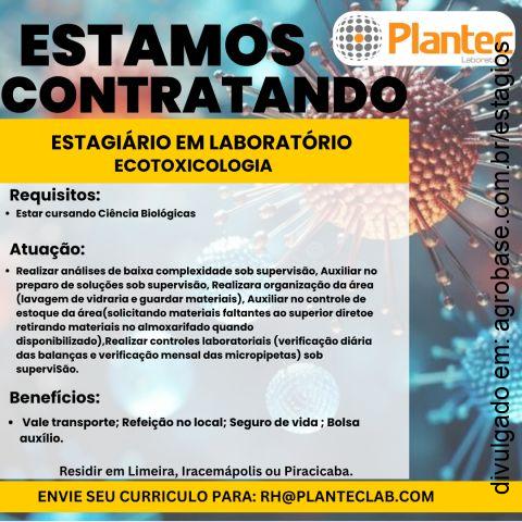 Estagiário em laboratório ecotoxicologia – Iracemápolis/SP