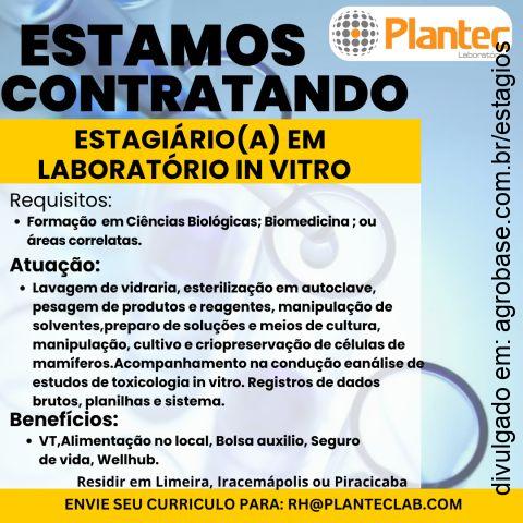 Estágio laboratório in vitro – Iracemápolis/SP