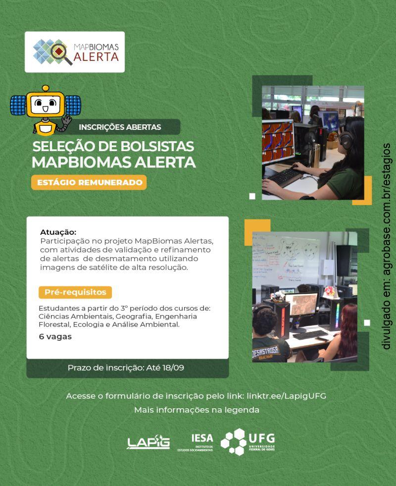 06 vagas de estágio MapBiomas Alerta – Goiás