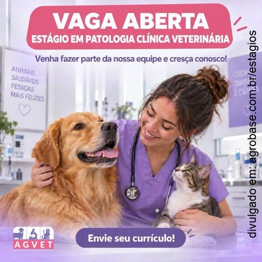 Estágio em patologia clínica veterinária – Peruíbe/SP