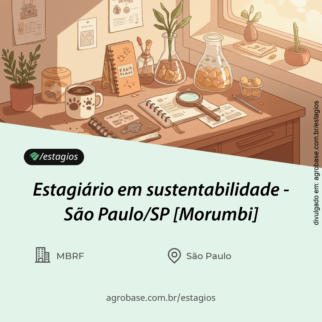 Estagiário em sustentabilidade – São Paulo/SP [Morumbi]