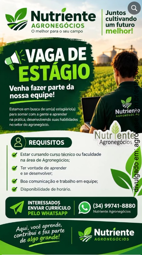 Estágio em agronegócios – Uberlândia/MG