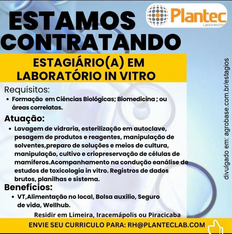 Estagiário(a) em laboratório in vitro – Limeira ou Piracicaba/SP