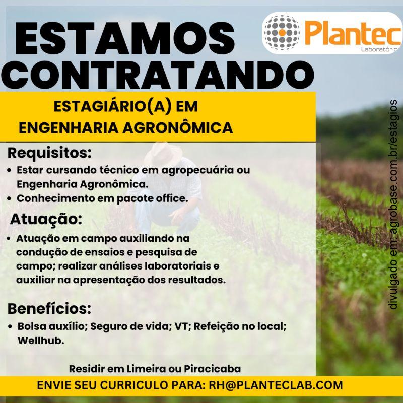 Estágio engenharia agronômica – Limeira ou Piracicaba/SP