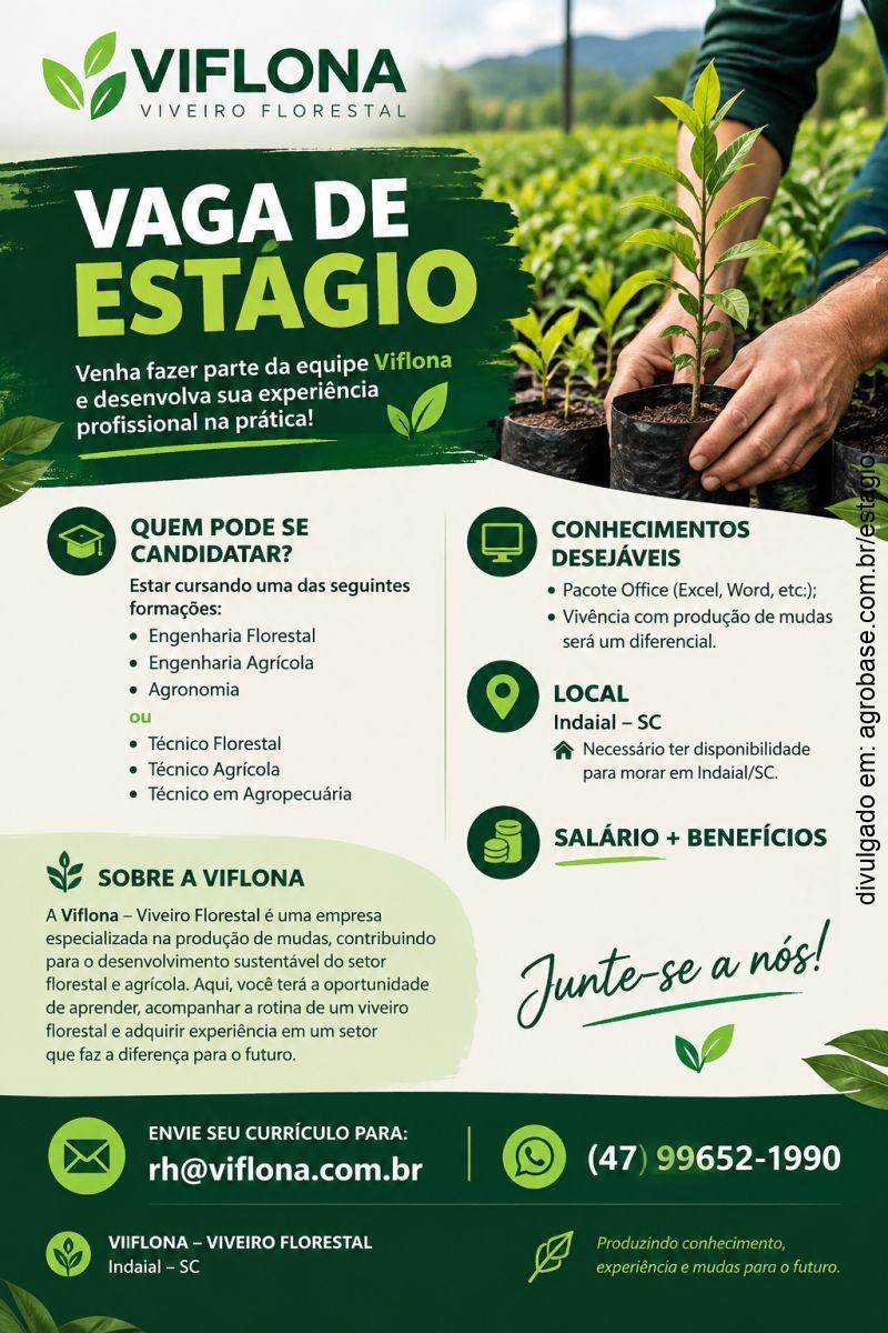 Estágio em engenharia florestal [viveiro] – Indaial/SC