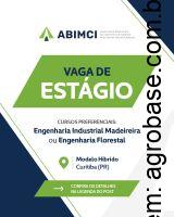 Estágio eng. ind. madeireira ou eng. florestal – Curitiba/PR [híbrido]