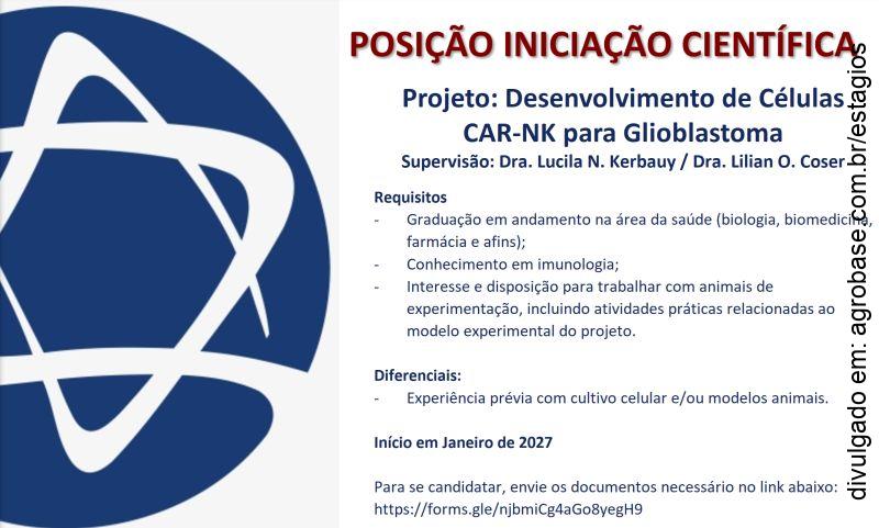 Iniciação científica: desenvolvimento de células CAR-NK para glioblastoma – São Paulo/SP