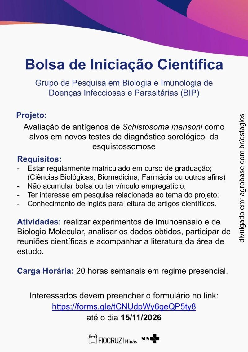 Bolsa de iniciação científica: biologia e imunologia de doenças infecciosas e parasitárias (BIP) – Belo Horizonte/MG