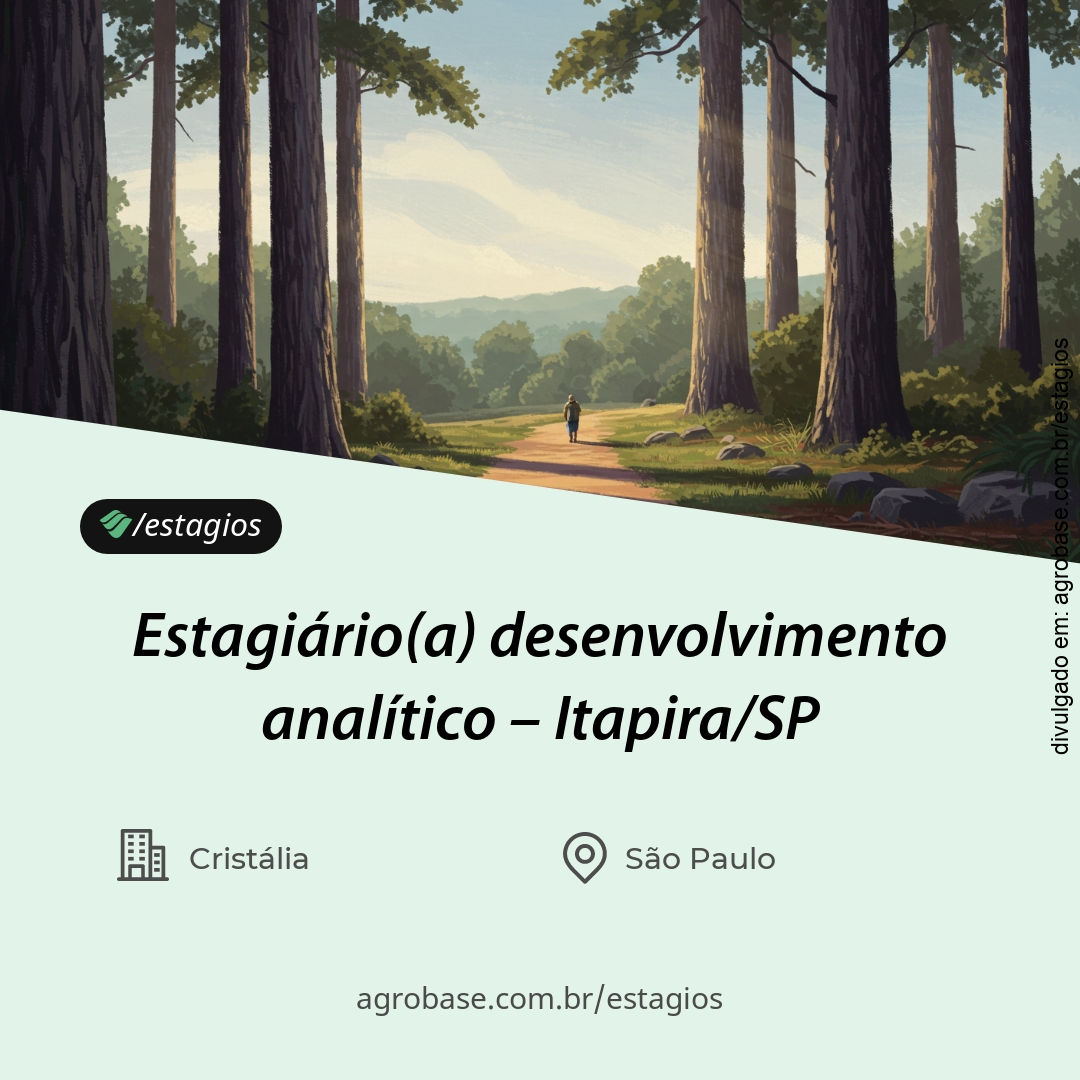 Estagiário(a) desenvolvimento analítico – Itapira/SP